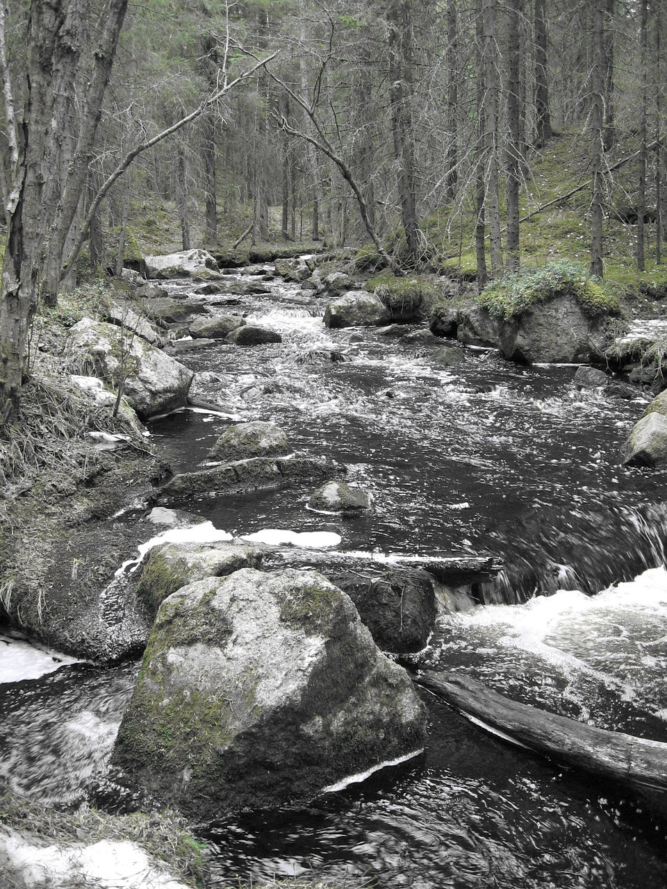 the creek landscape flow free photo