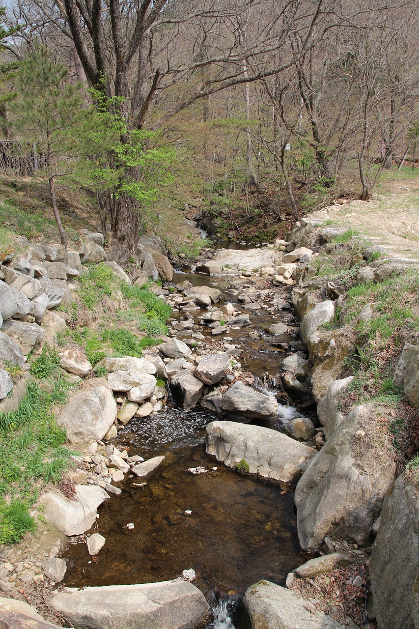 the creek nature spring free photo