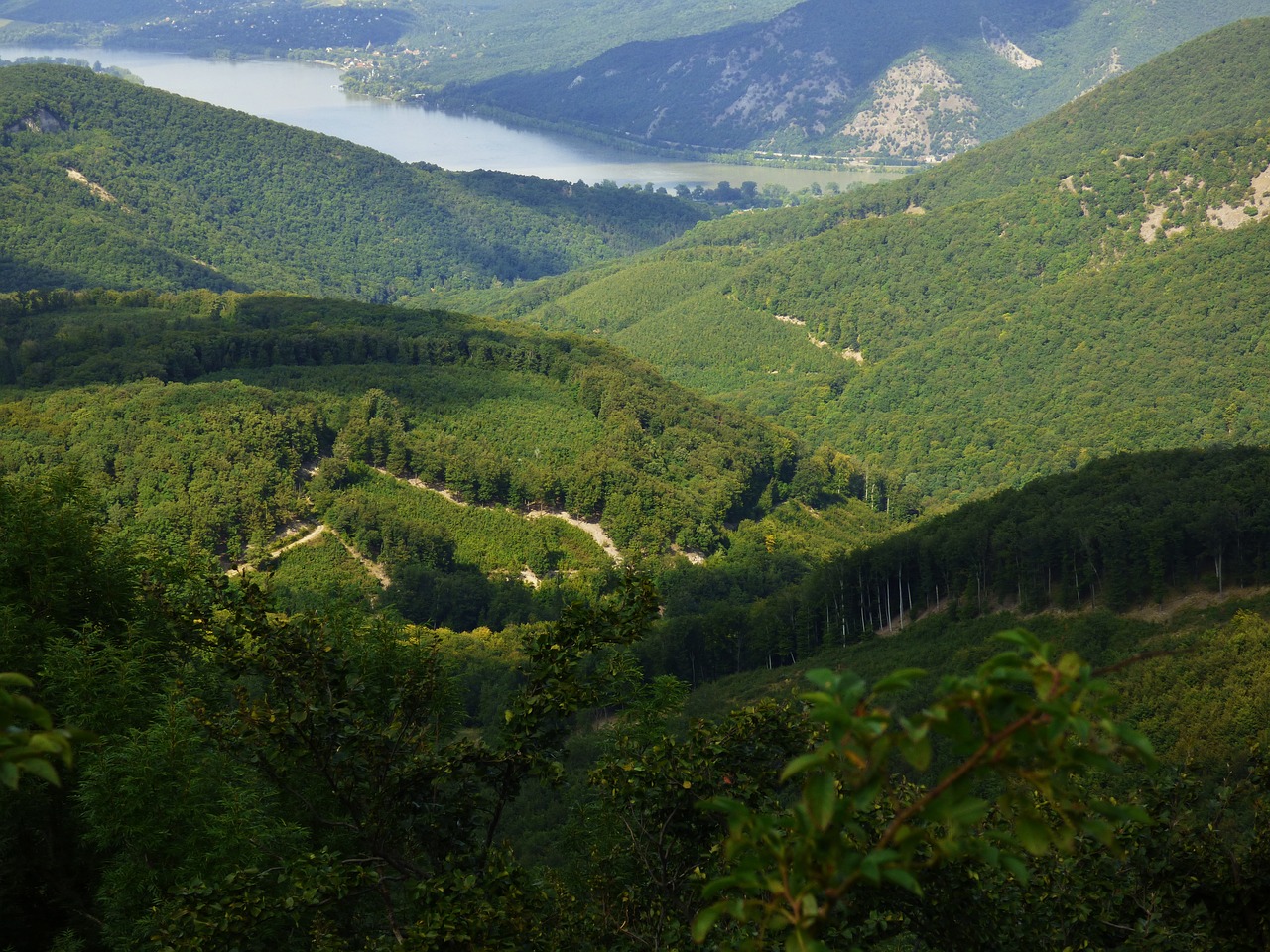 the danube ipeľský national free photo