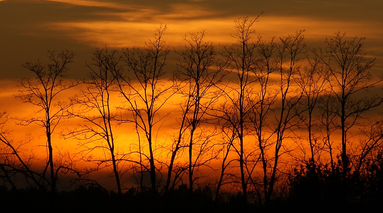 the dawn family  sunset  panoramic free photo