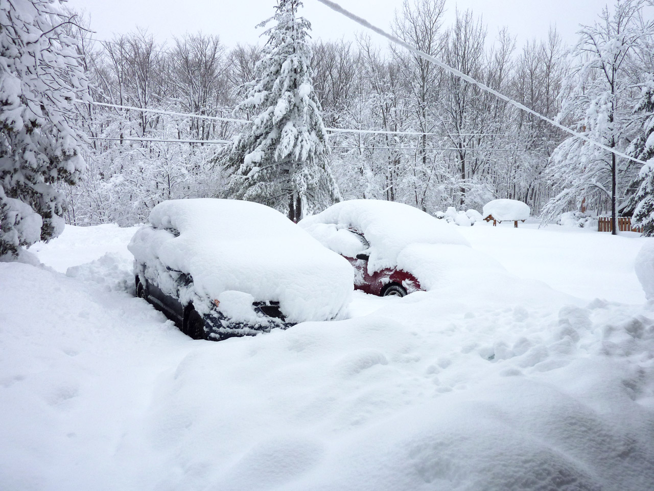 snow storm the day after free photo