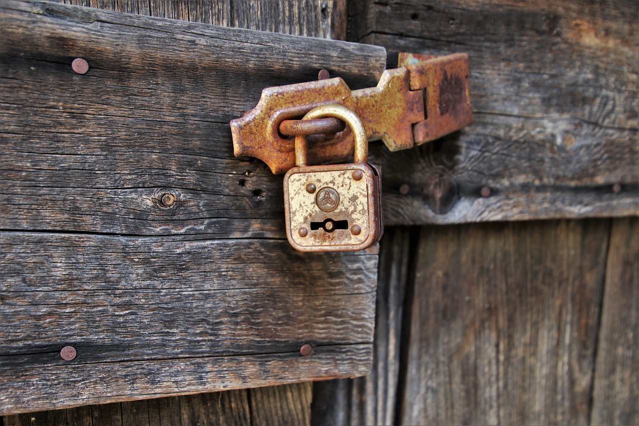 the door  by wlodek  castle free photo