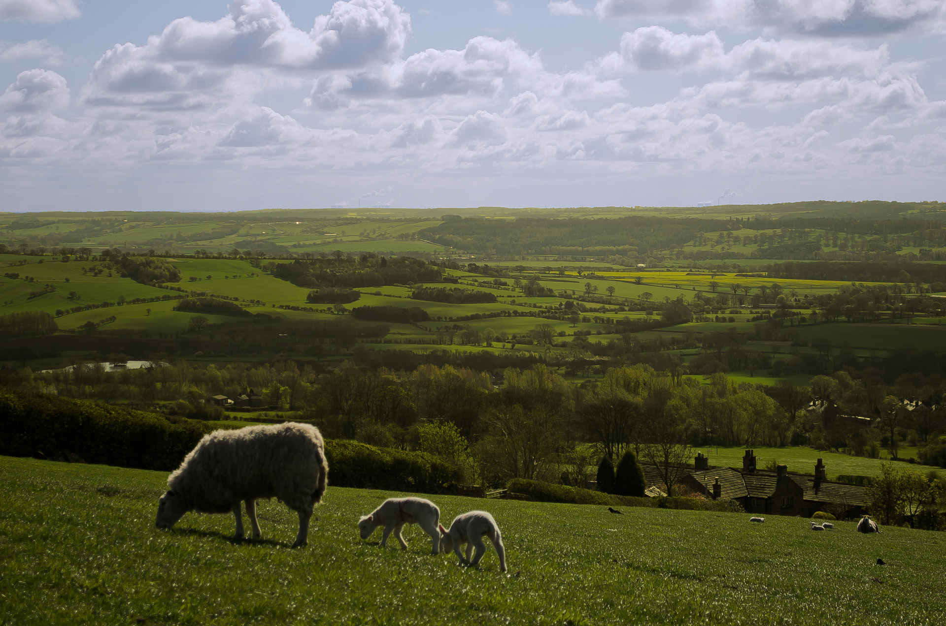 england north yorkshire free photo