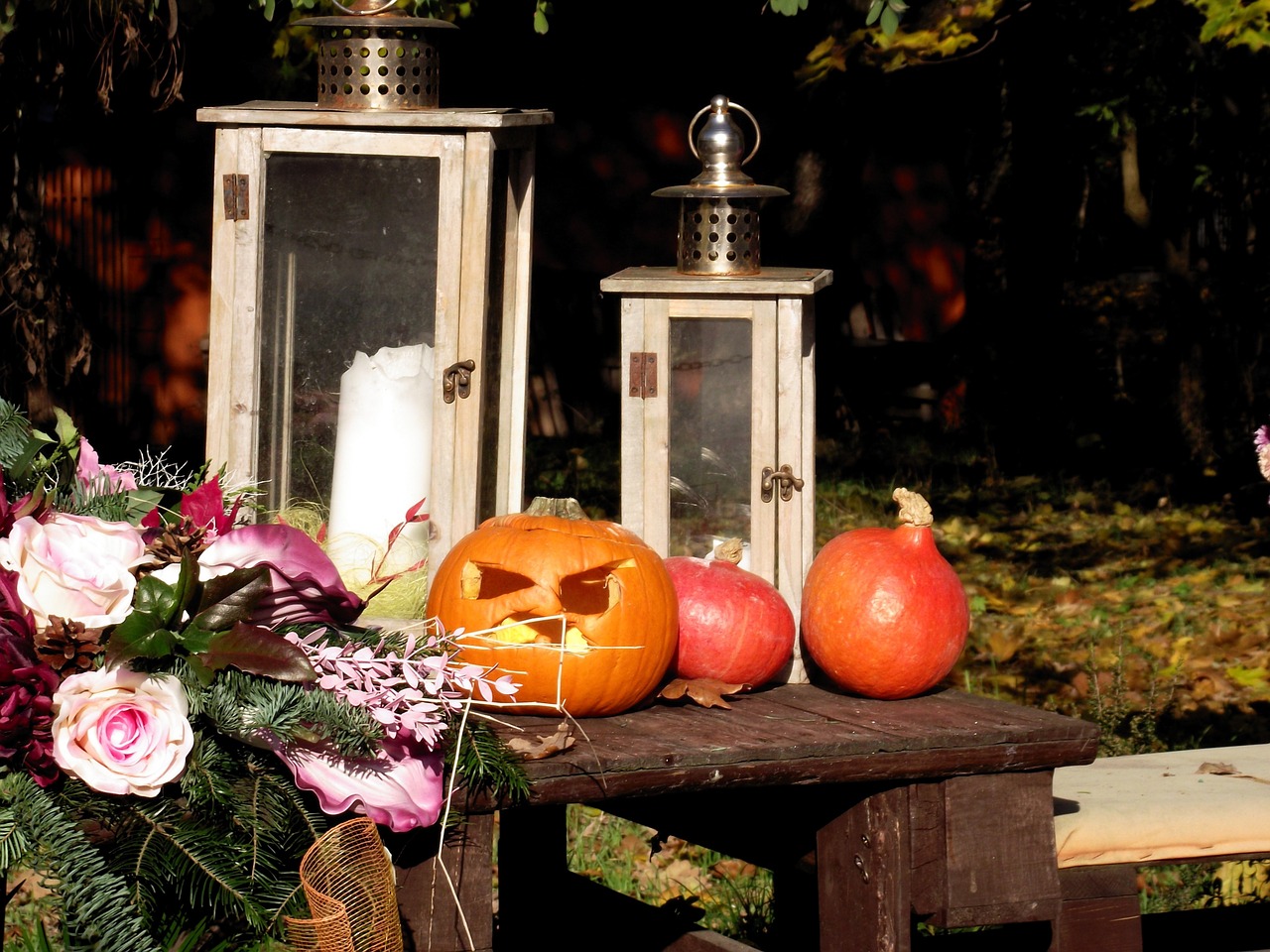 the feast of the halloween pumpkin free photo