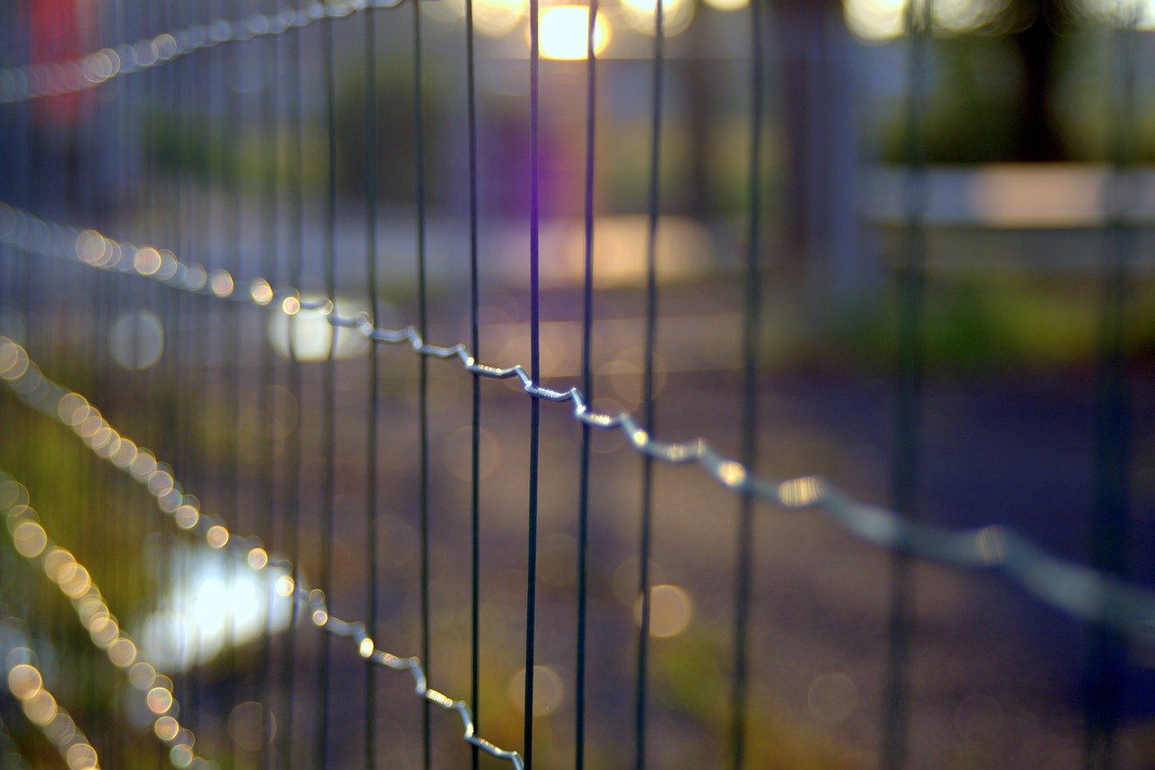the fence trellis wire free photo