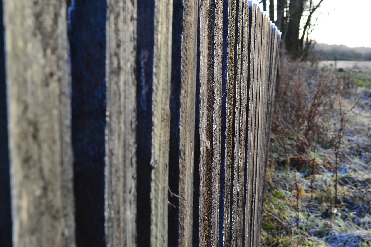 the fence frost rails free photo