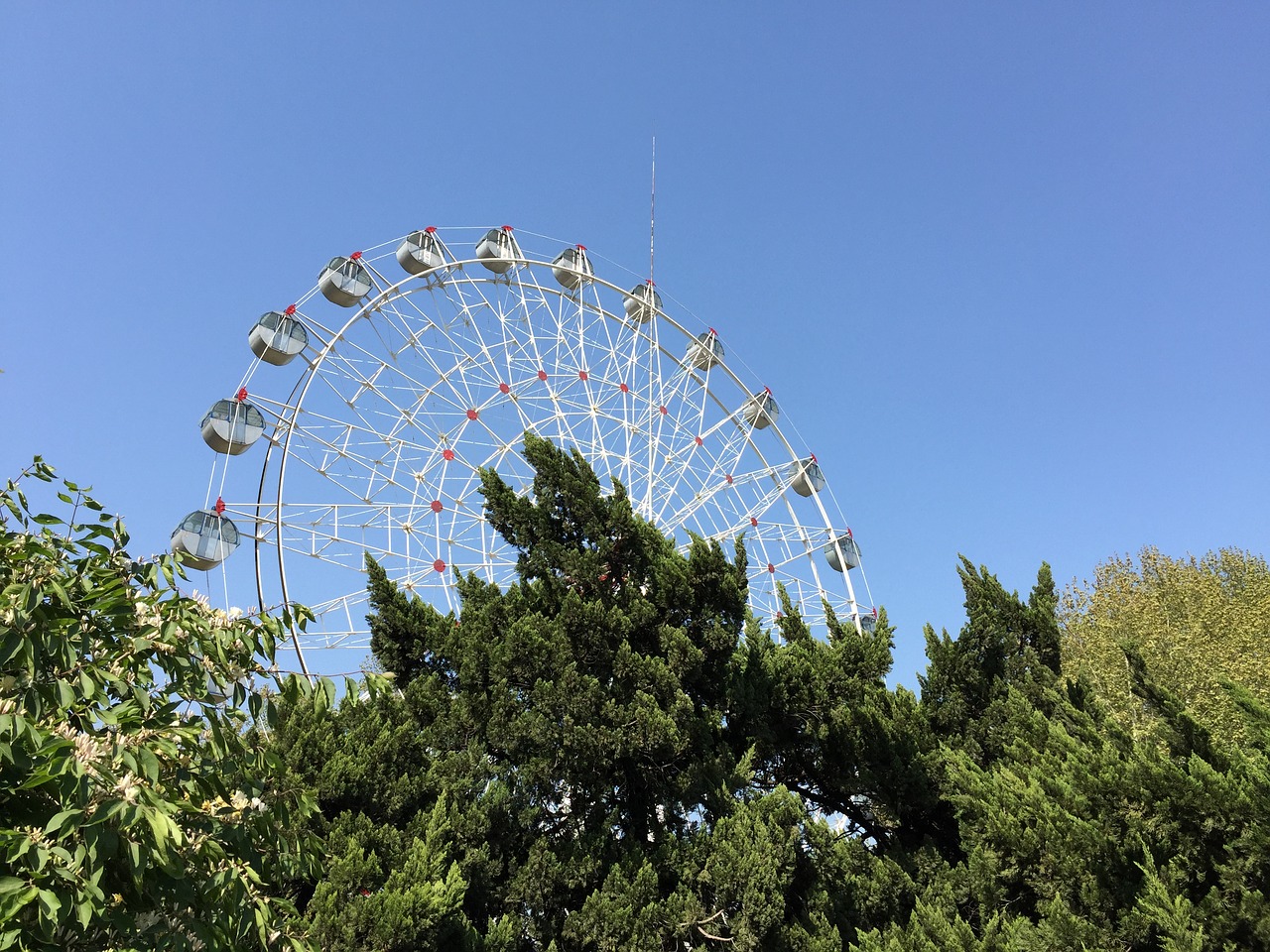 the ferris wheel blue sky grove free photo