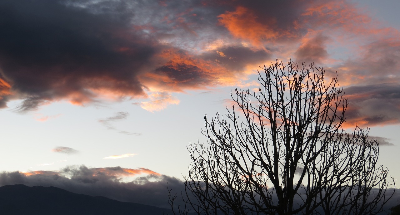 the field landscapes armenia free photo