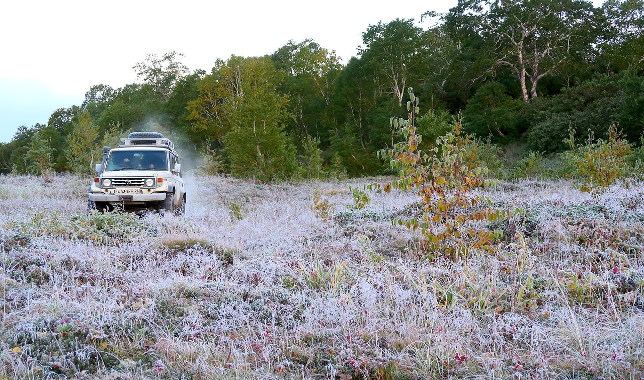 the first frost early autumn indian summer free photo