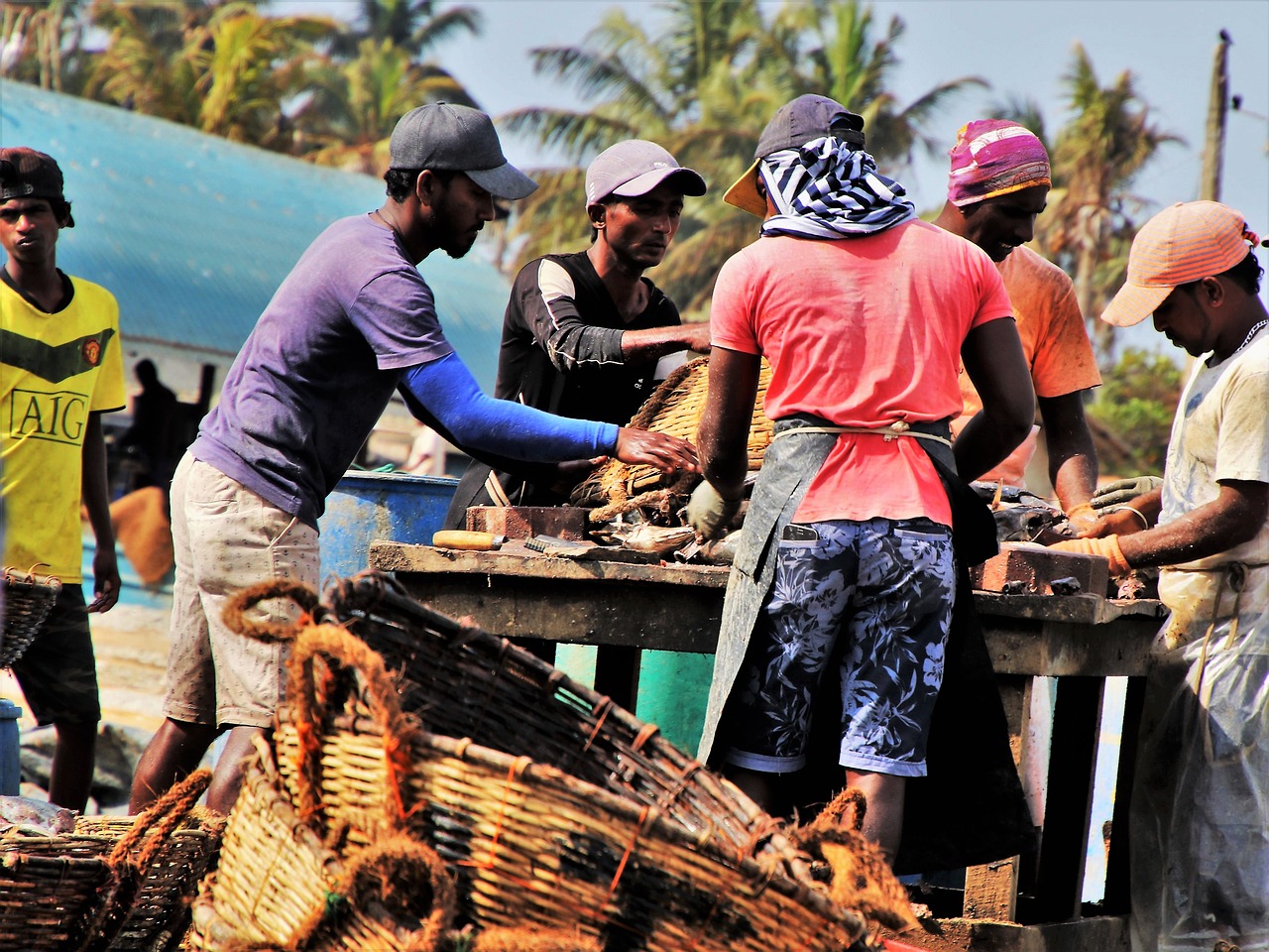 the fishermen sorting fish market free photo