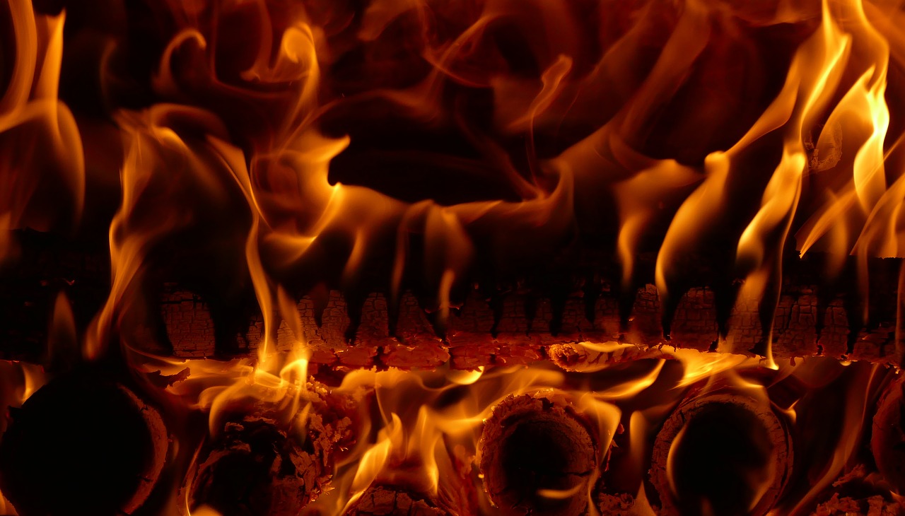 the flames burning wood free photo