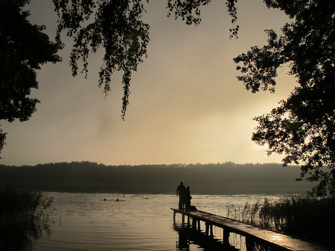 the fog lake evening free photo