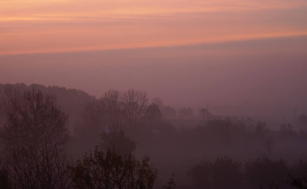 the fog dawn sunrise free photo
