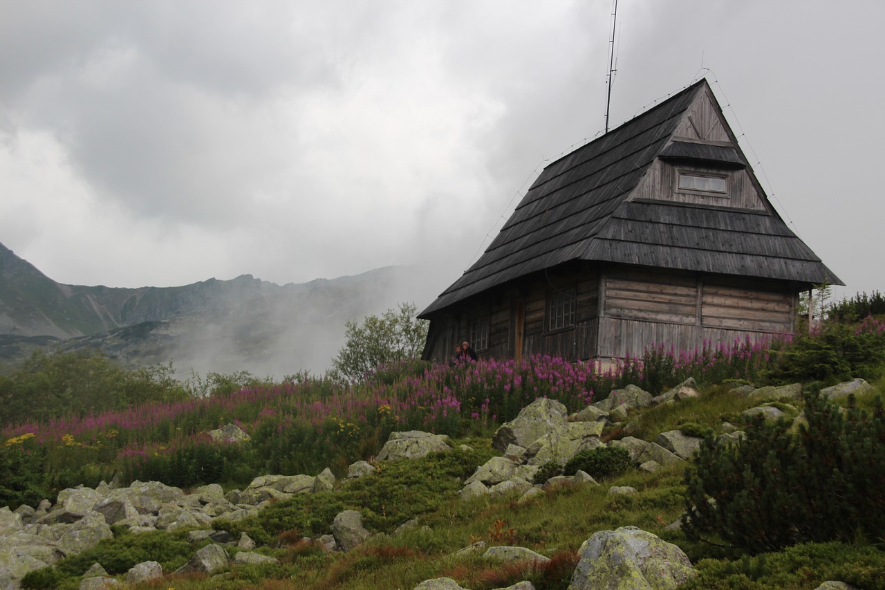 the fog tatry mountains free photo