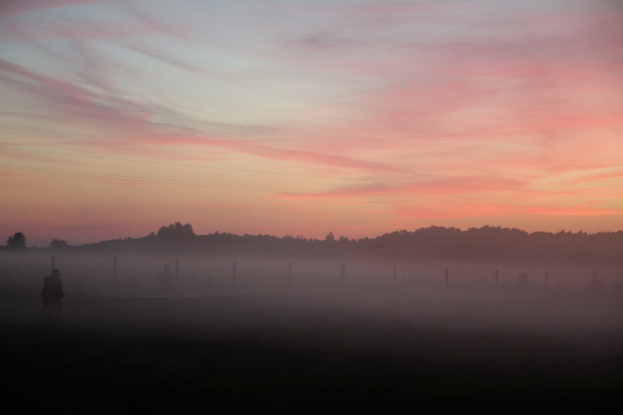 the fog meadow nature free photo