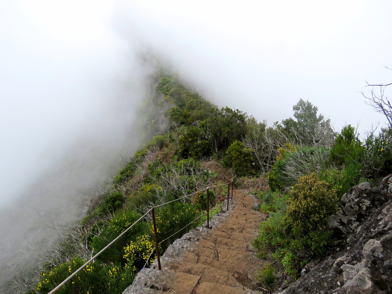 the fog stairs mountains free photo