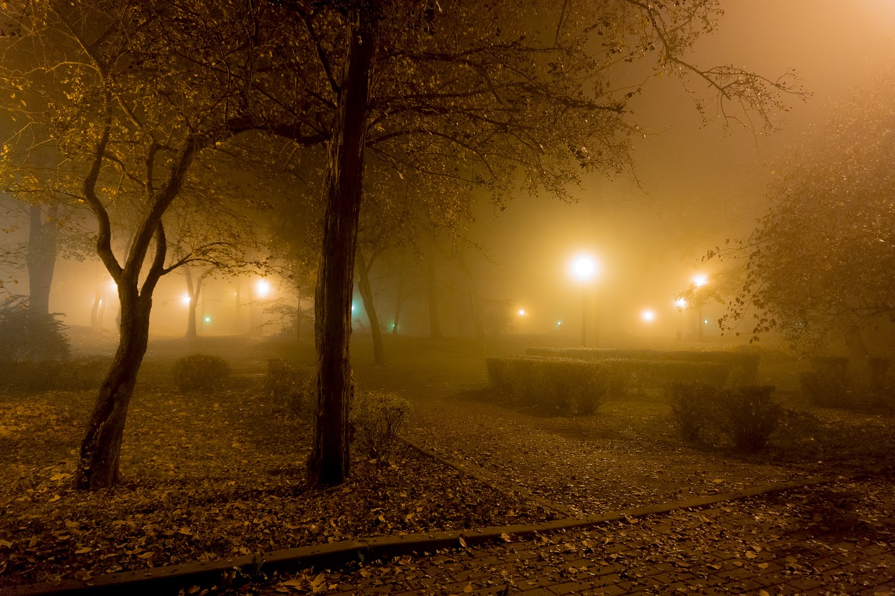 the fog night light free photo