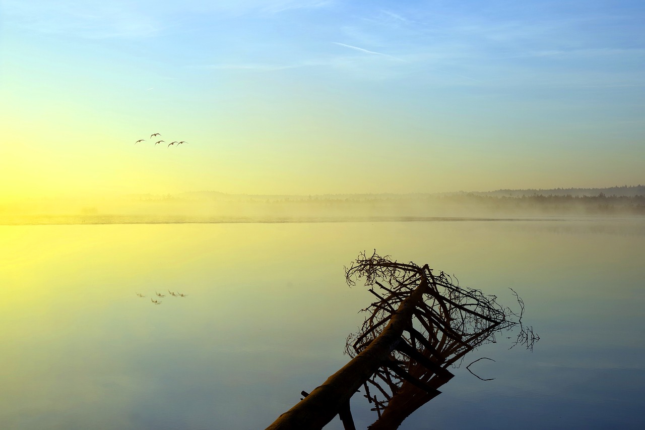 the fog  reflection  landscape free photo