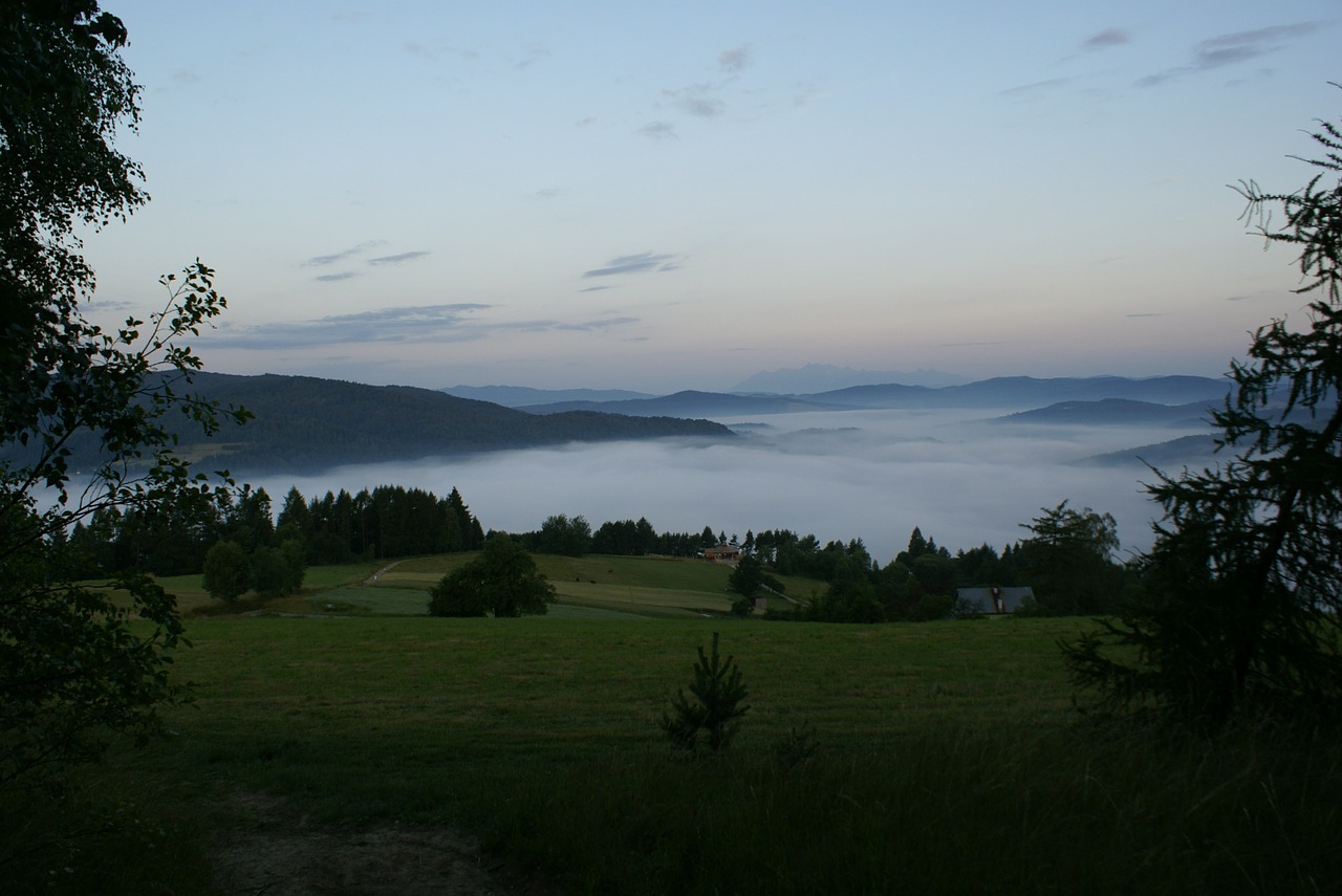 the fog morning in the morning free photo