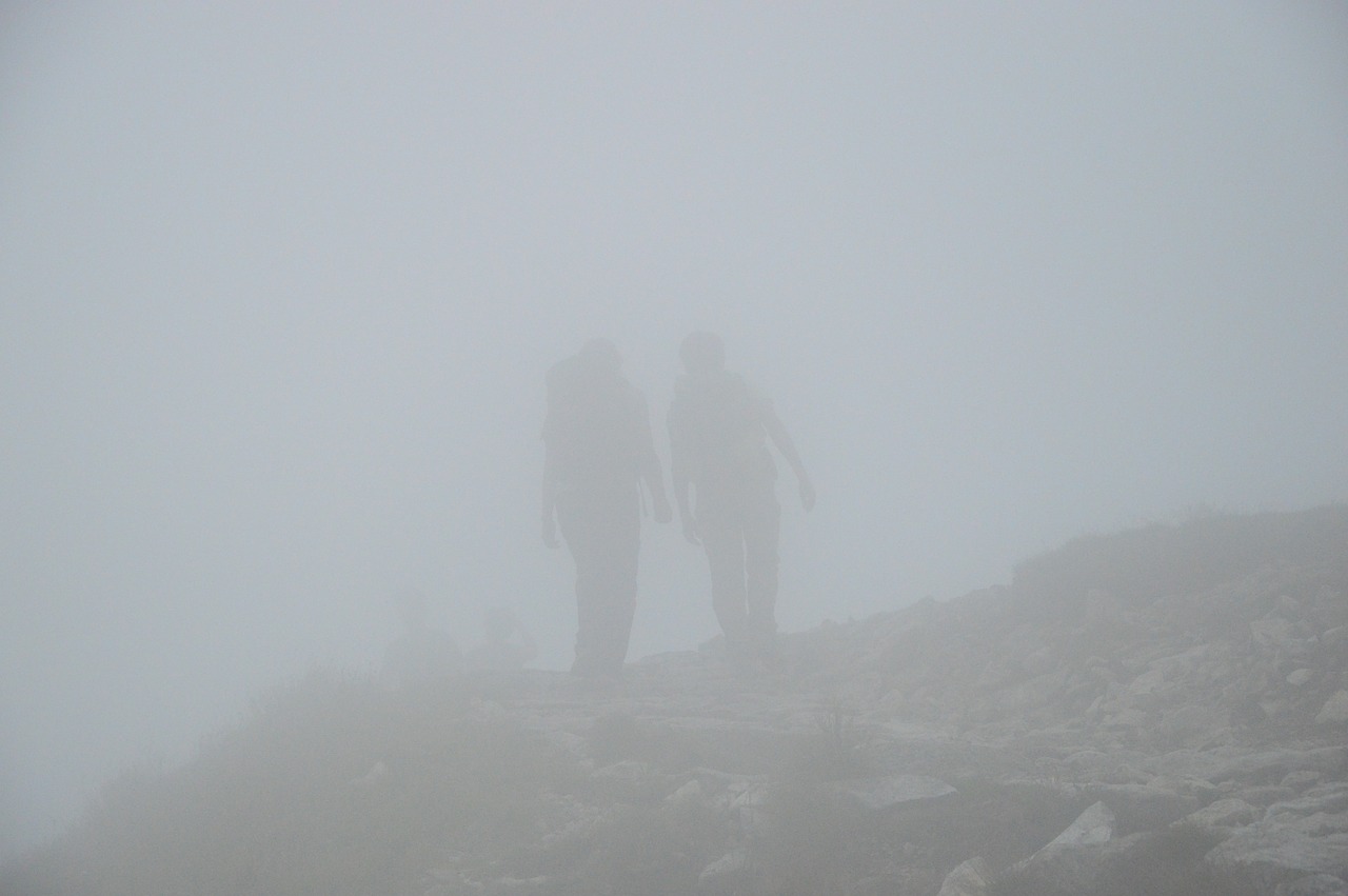 the fog tatry mountains free photo