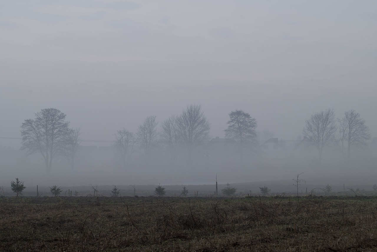 the fog field sky free photo