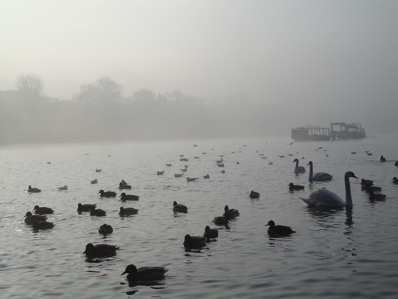 water nature landscape free photo