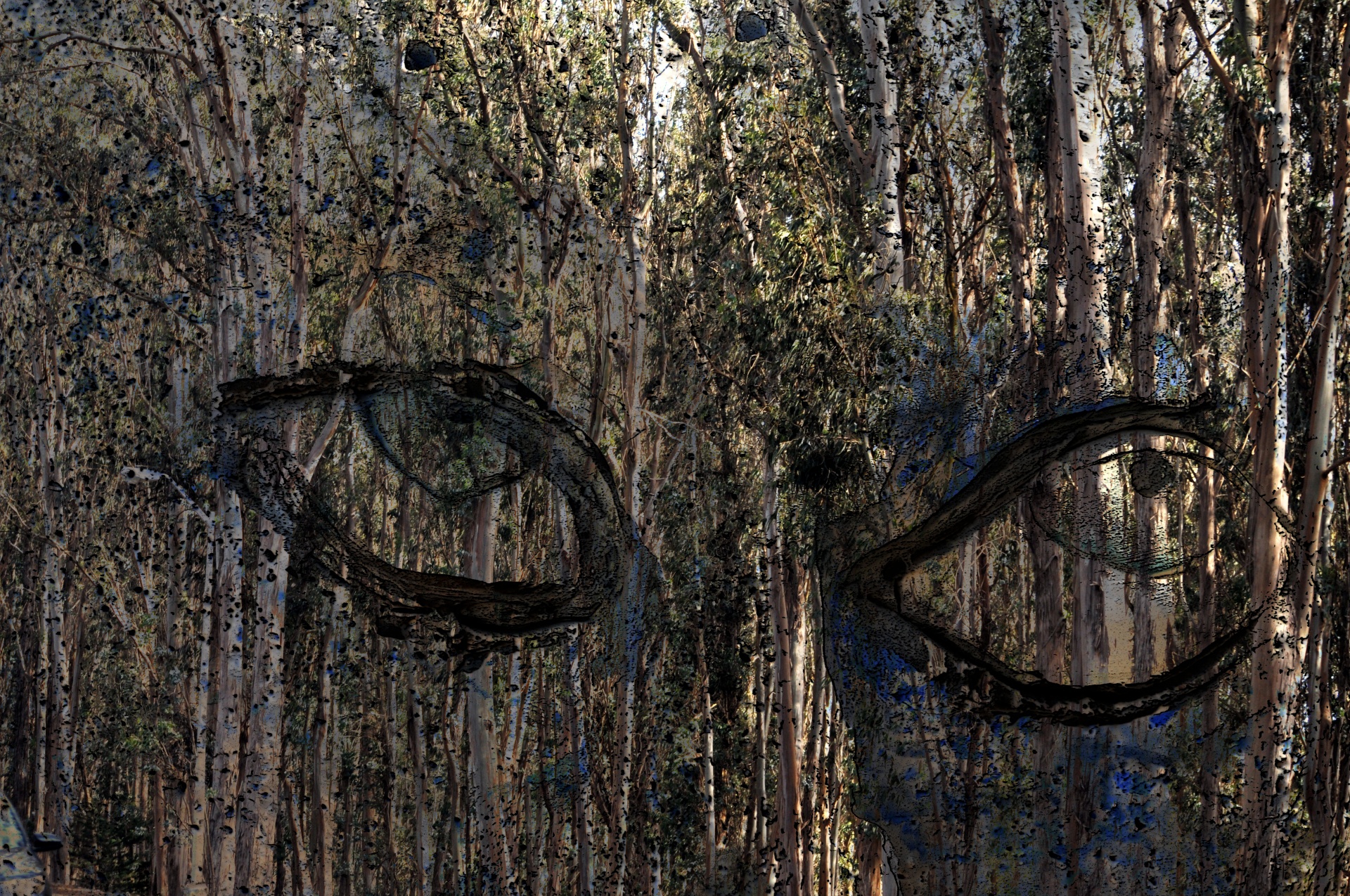 Лес с глазами на деревьях