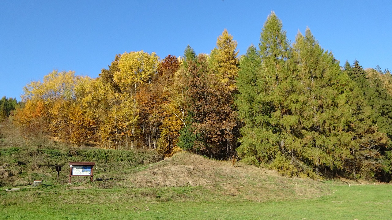 the founding fathers poland the national park free photo