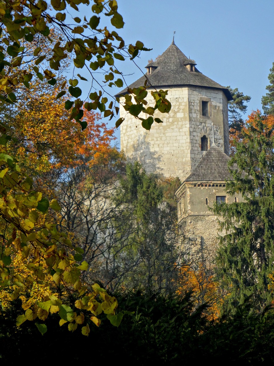 the founding fathers poland castle free photo