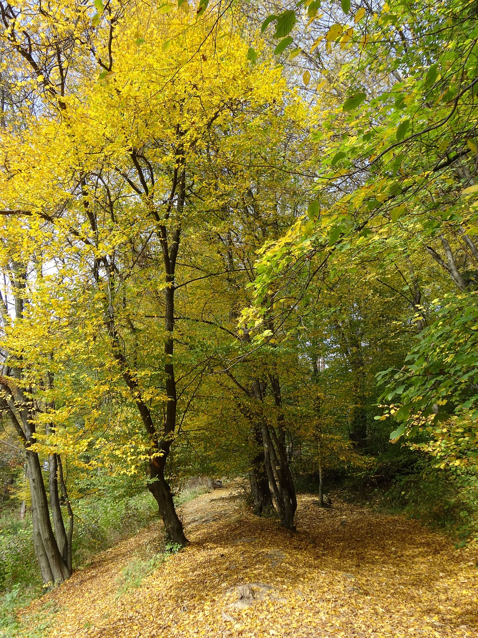 the founding fathers poland the national park free photo