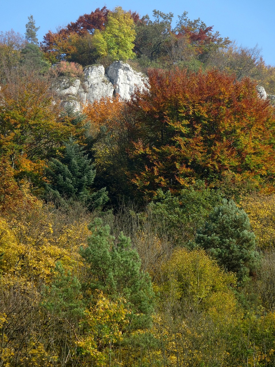 the founding fathers poland the national park free photo