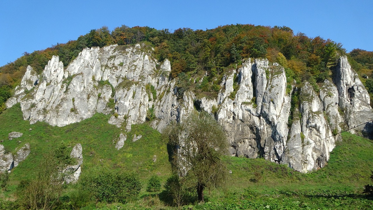 the founding fathers poland the national park free photo