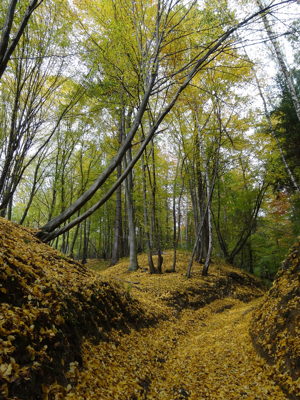 the founding fathers poland the national park free photo