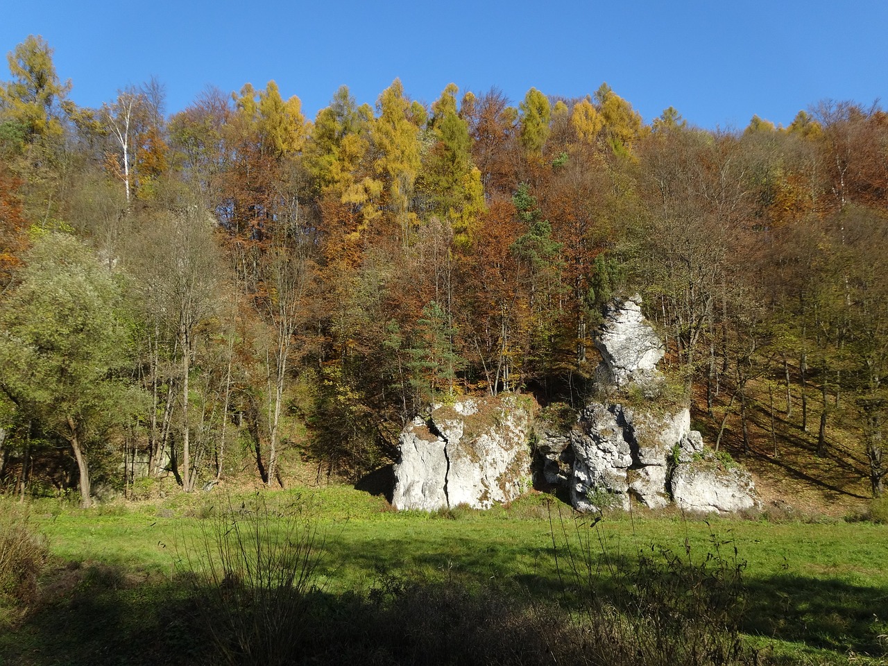 the founding fathers poland the national park free photo