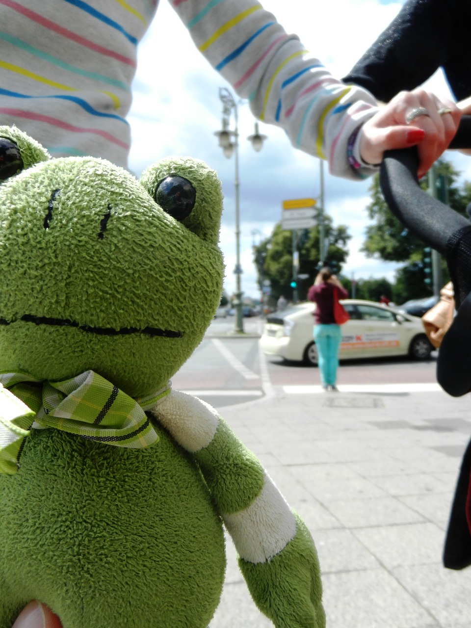 the frog żabka the mascot free photo