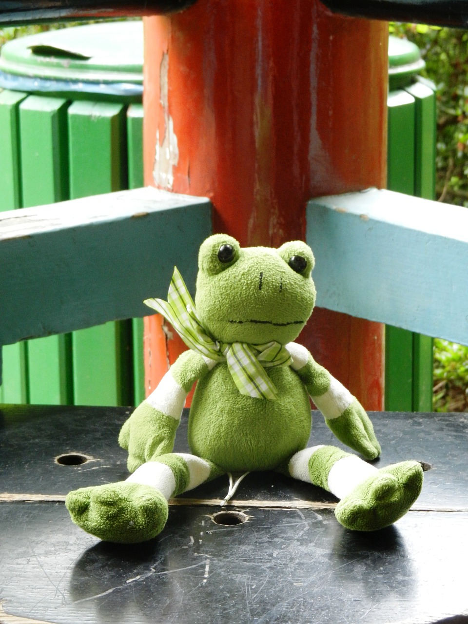 the frog żabka the mascot free photo