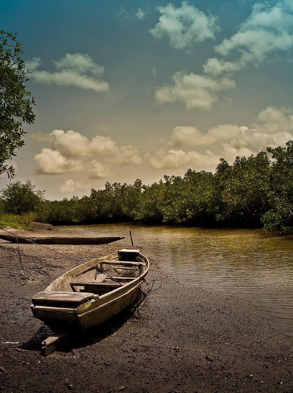 the gambia river boat free photo