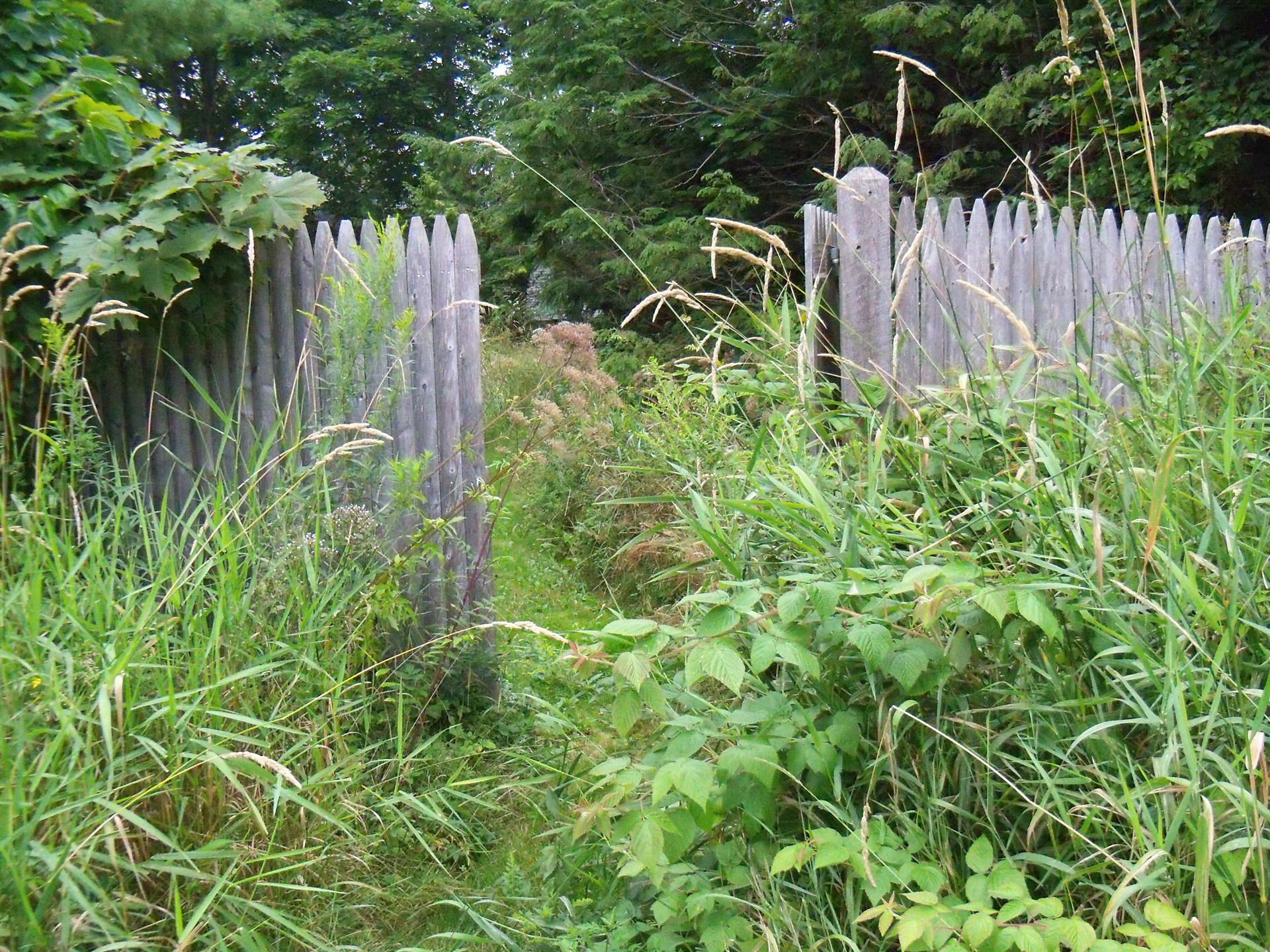 garden path pathway trail free photo