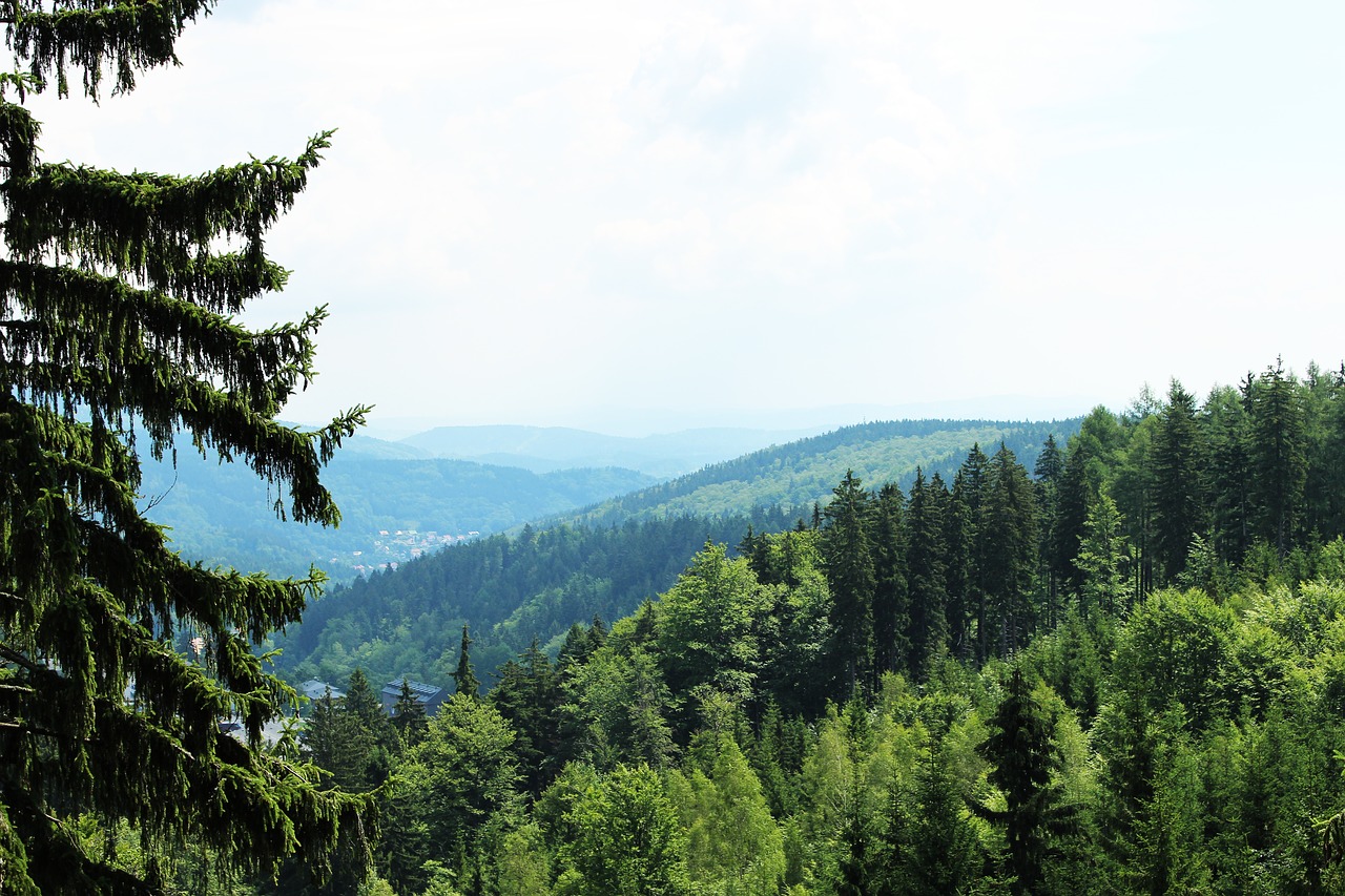 the giant mountains nature czech republic free photo