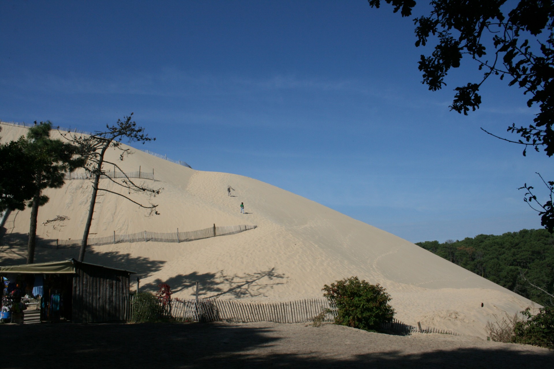 great sand dune free photo