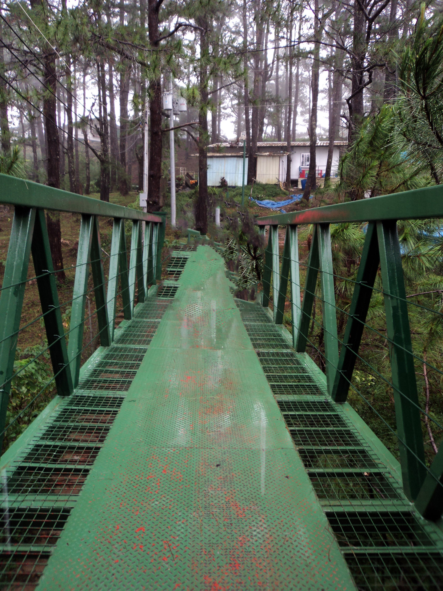 bridge green bridge long bridge free photo