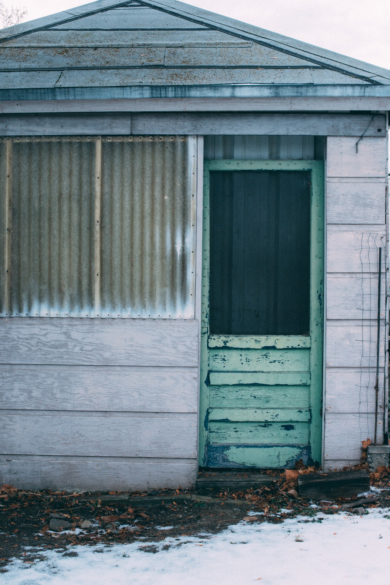 green door old free photo