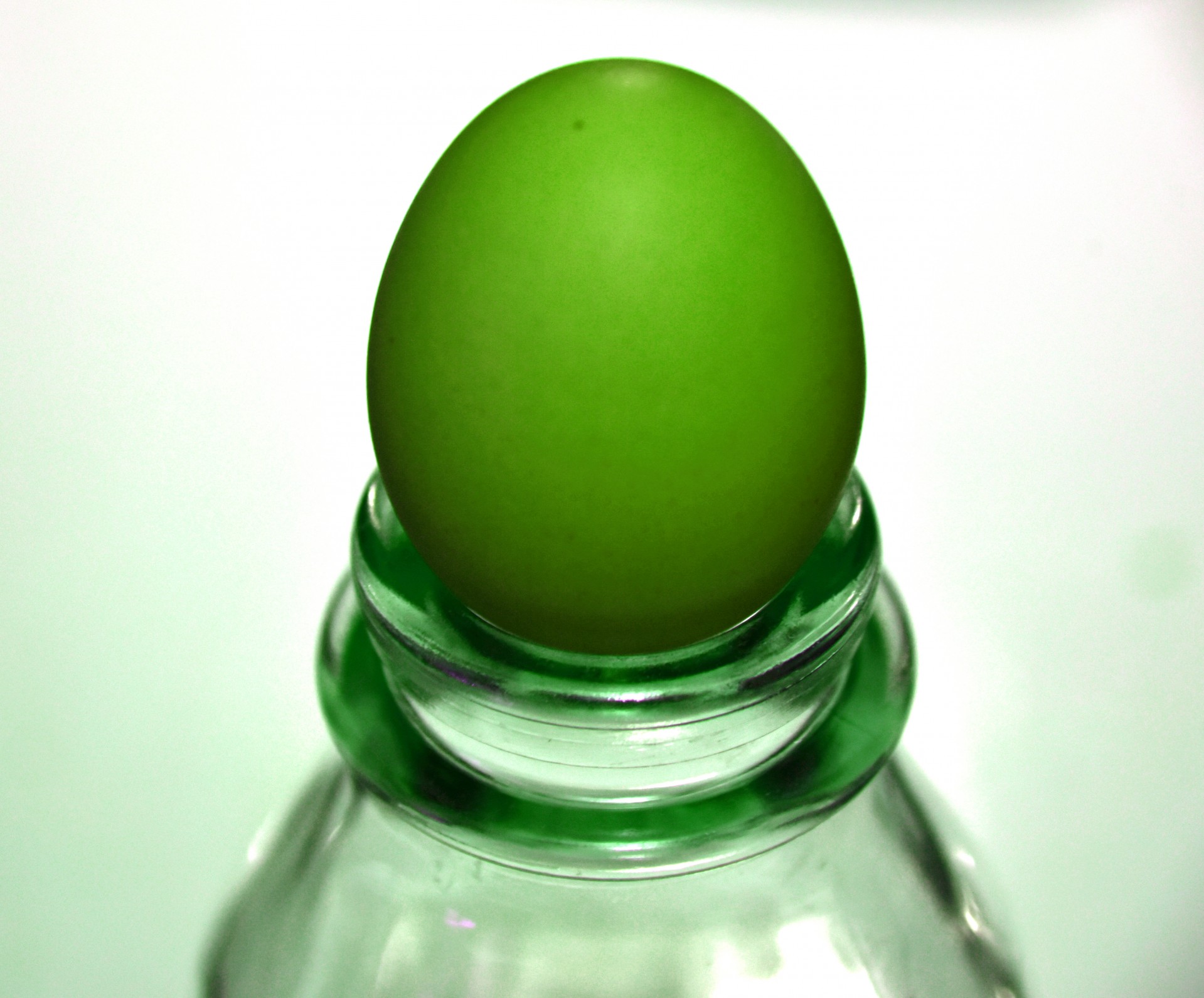 green egg closeup free photo