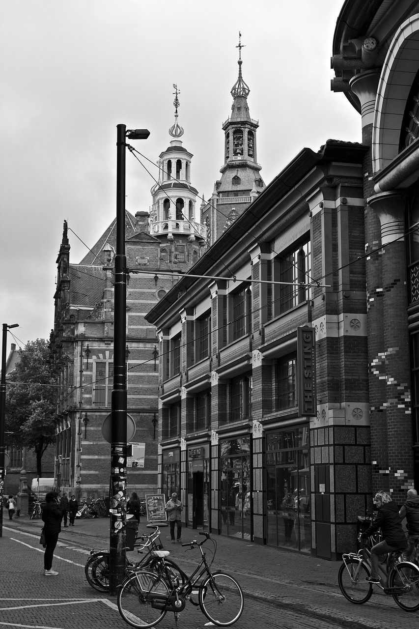 the hague holland netherlands free photo