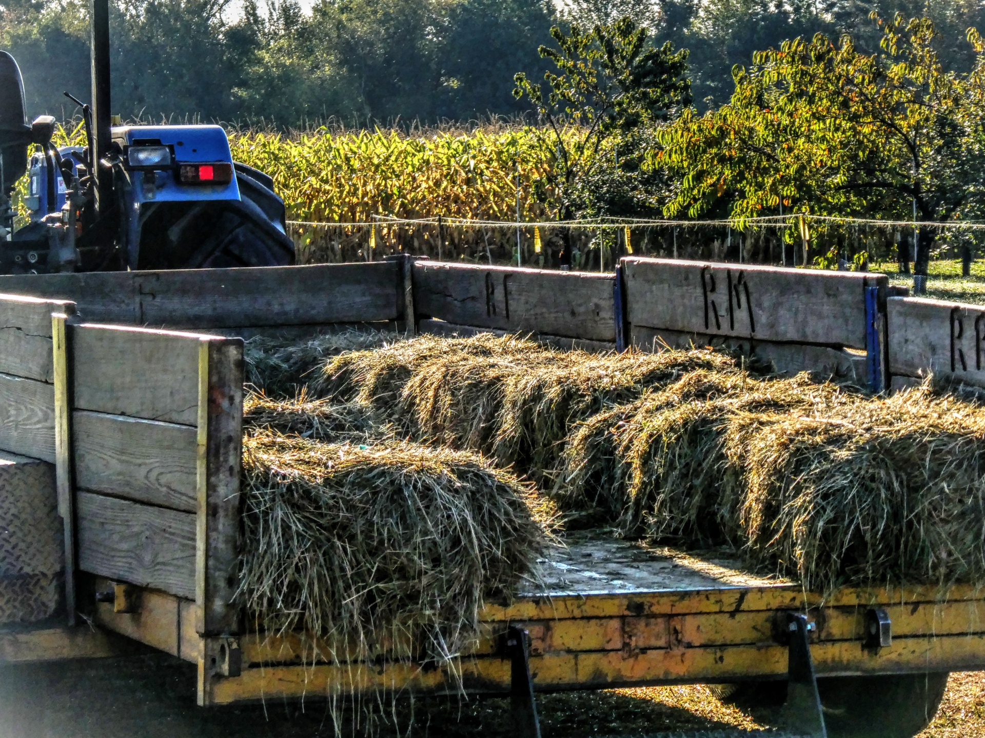 hay ride tractor farm free photo