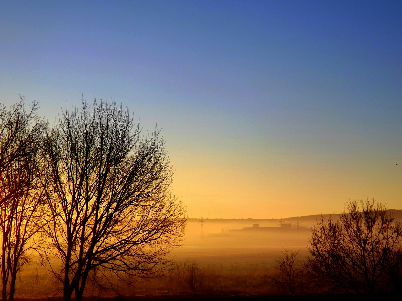 the haze sunset tree free photo