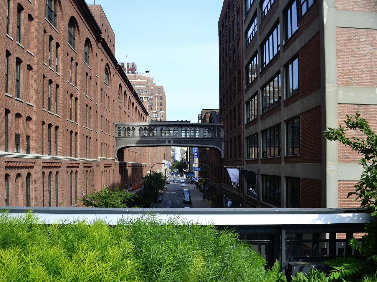 the high line new york chelsea free photo