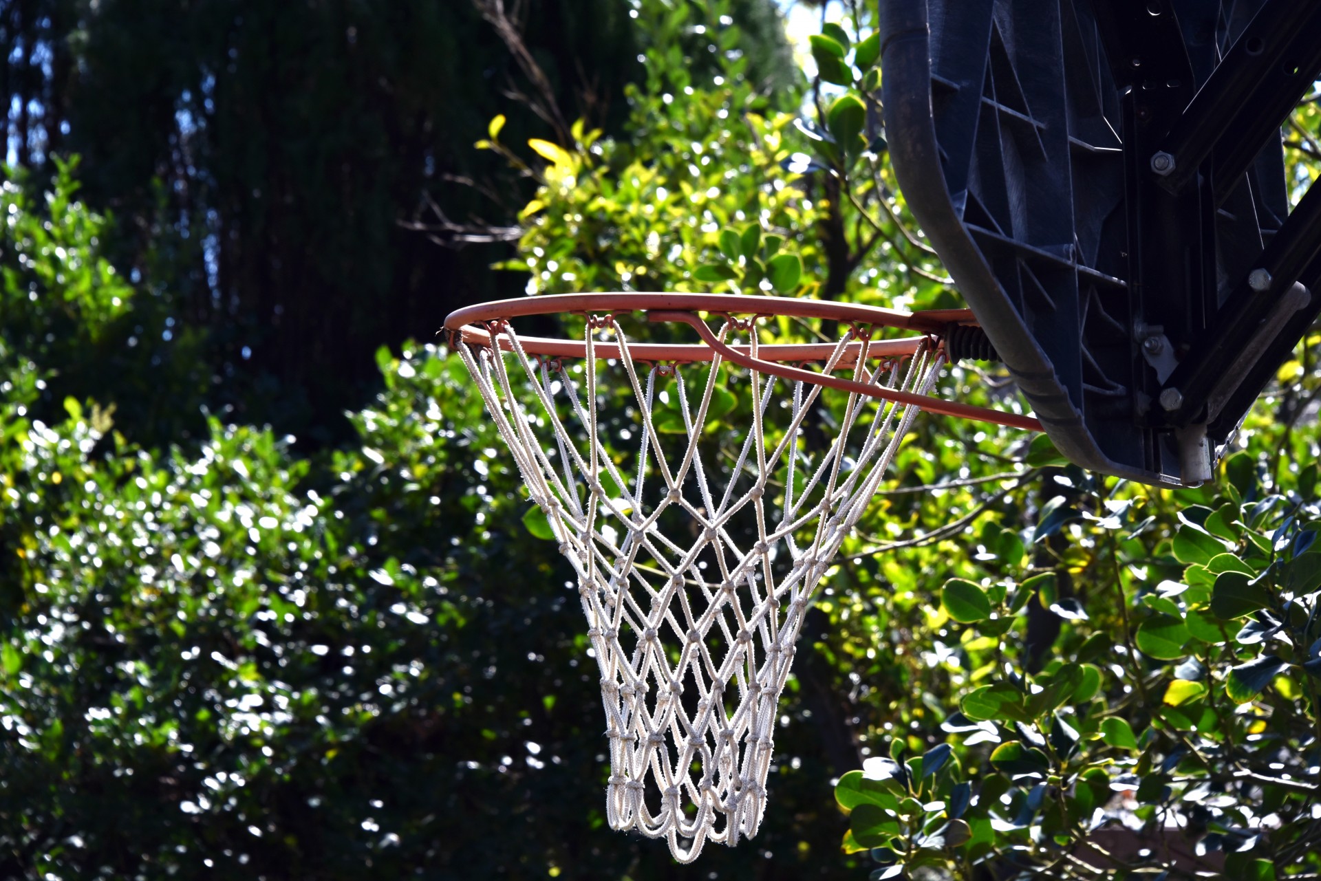 basketball sports hoop free photo