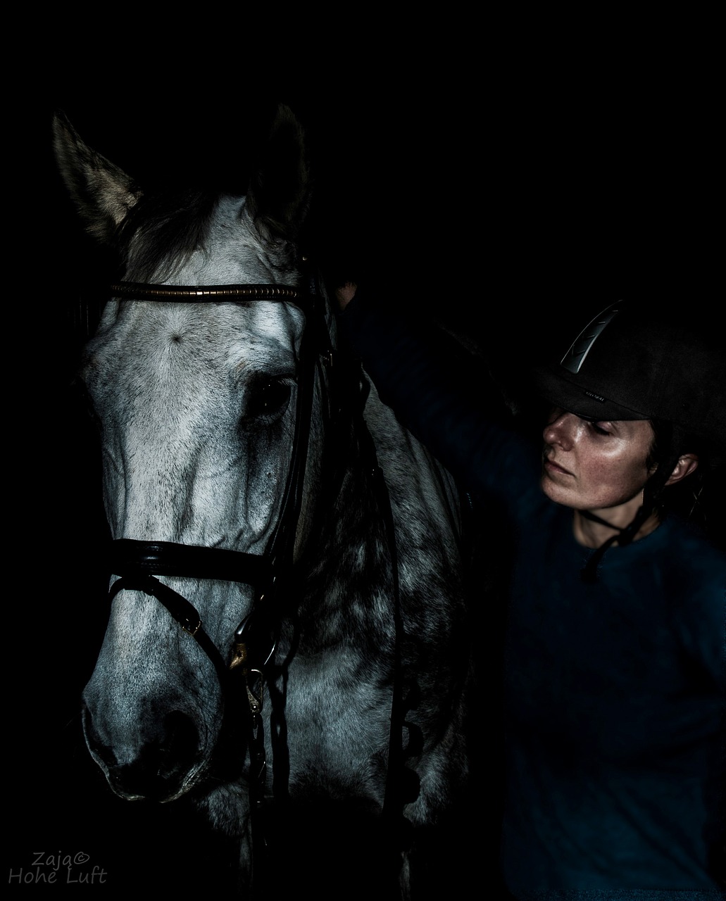 the horse sport jeżdziec free photo