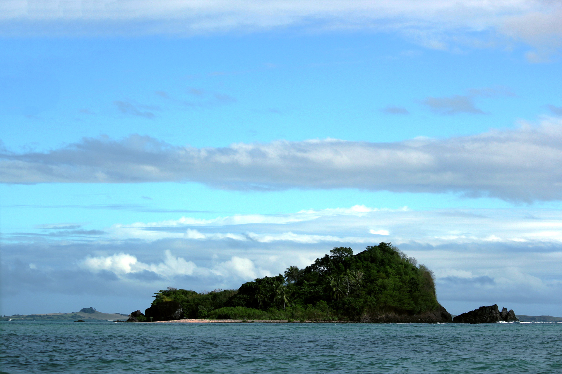 island island center of sea coconut tree free photo
